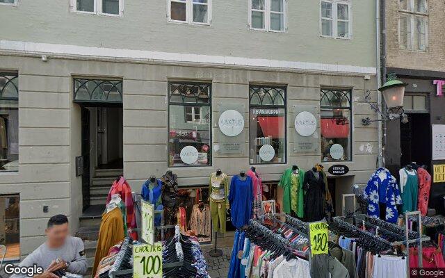 Kaktus – Grøn Frisør